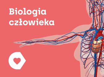 CORINTH – Multimedialna biblioteka - Biologia człowieka bio_czlowieka