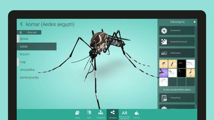 CORINTH – Multimedialna biblioteka - Pełny zestaw bibliotek corinth_pelnyzestaw3