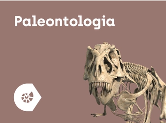 CORINTH – Multimedialna biblioteka - Paleontologia i kultura paleontologia2