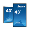 Monitor DigitalSignage iiyama LH4360UHS-B2AG 43" ELED VA 4K, 500cd/m2, Android11, iisignage2, 24/7