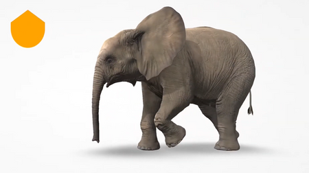 CORINTH – Multimedialna biblioteka Biologia zwierząt