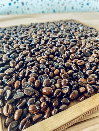 Ścieżka sensoryczna Mountain