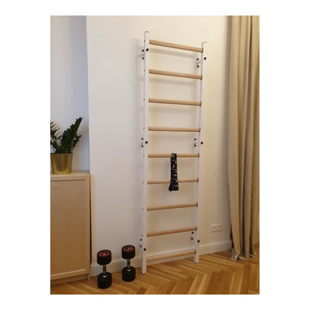 Drabinka sportowa BenchK 700W