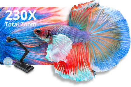 Wizualizer AVer M70W