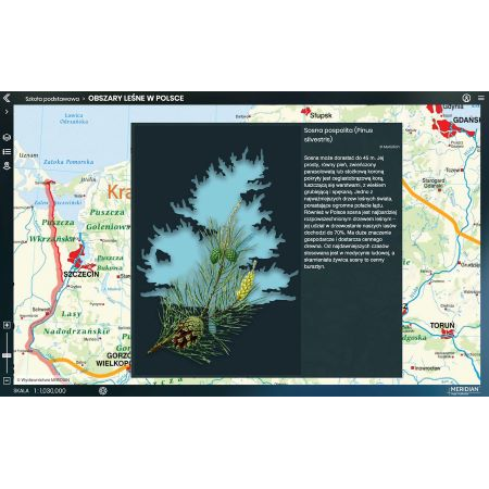 Meridian Prime Nauczyciel / Uczeń (jeden użytkownik)