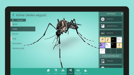 Corinth Online z trybem VR