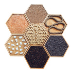 Ścieżka sensoryczna Muno