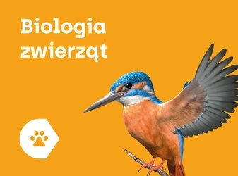 CORINTH – Multimedialna biblioteka Biologia zwierząt
