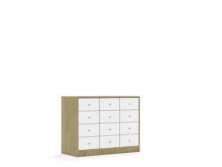 Szafa Blox Base 110 2PP 8SB 4SS 1049x466x813