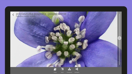 Corinth Online z trybem VR