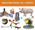 Corinth Online z trybem VR