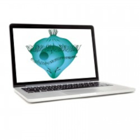 Multimedialne Ilustracje Przedmiotowe - Biologia