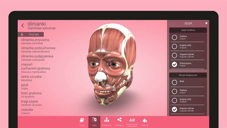 CORINTH – Multimedialna biblioteka - Pełny zestaw bibliotek oraz 50 modeli do wydruku na drukarkach 3D