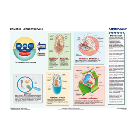 DUO Komórki - jednostki życia - Plansza ścienna