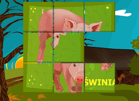 Akademia Umysłu® JUNIOR EDU