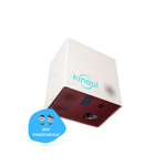 Magiczny Dywan 5.0 Kinebi EDU Przedszkole