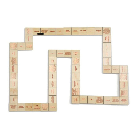 Domino fizyczne - Zjawiska magnetyczne. Optyka