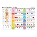 Witaminy w organizmie człowiek - Plansza ścienna