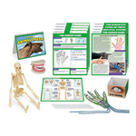 Projekt naukowy STEM - ciało człowieka