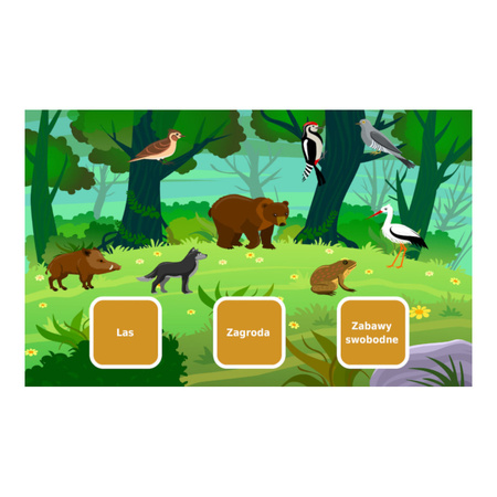 Magiczny Dywan onEVO PRZEDSZKOLAK