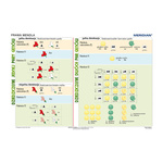 Podstawy genetyki - podział komórek - Plansza ścienna