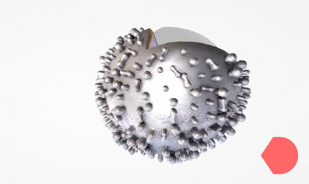 CORINTH – Multimedialna biblioteka - Biologia człowieka