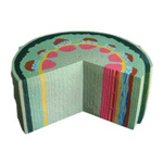 Łodyga roślin dwuliściennych - model