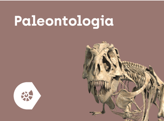 CORINTH – Multimedialna biblioteka - Paleontologia i kultura