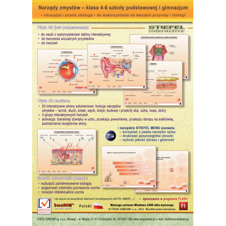 Narządy zmysłów CD