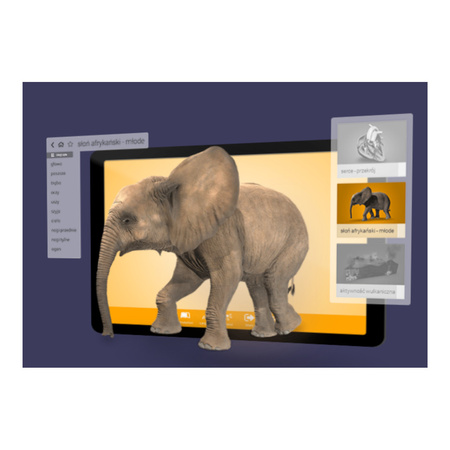 Zestaw VR Pico Neo3 Pro dla 5 użytkowników