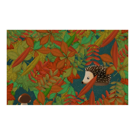 Magiczny Dywan onEVO SMILE