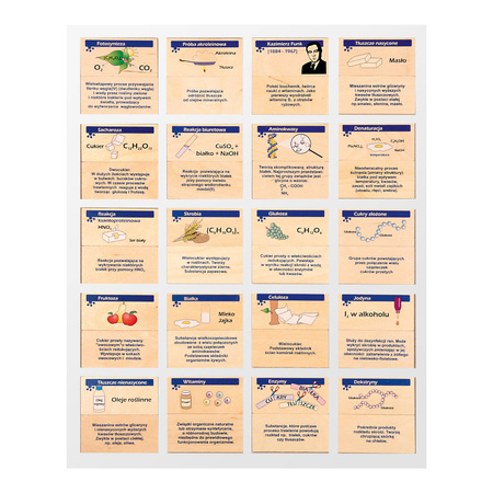 Chemiczne memory - między chemią, a biologią