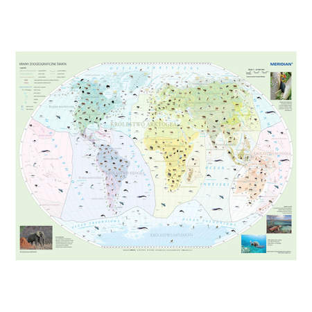 Krainy zoogeograficzne świata