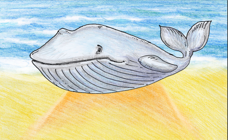 Pakiet Pirackie Przygody Stasia i Zuzi