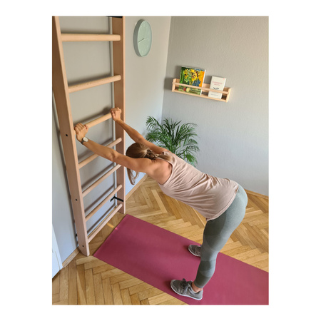 Drabinka gimnastyczna BenchK 100